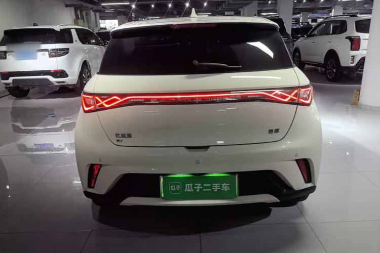 Used BYD Dolphin 2024 Honor Edition 420km Fashion Version Rear