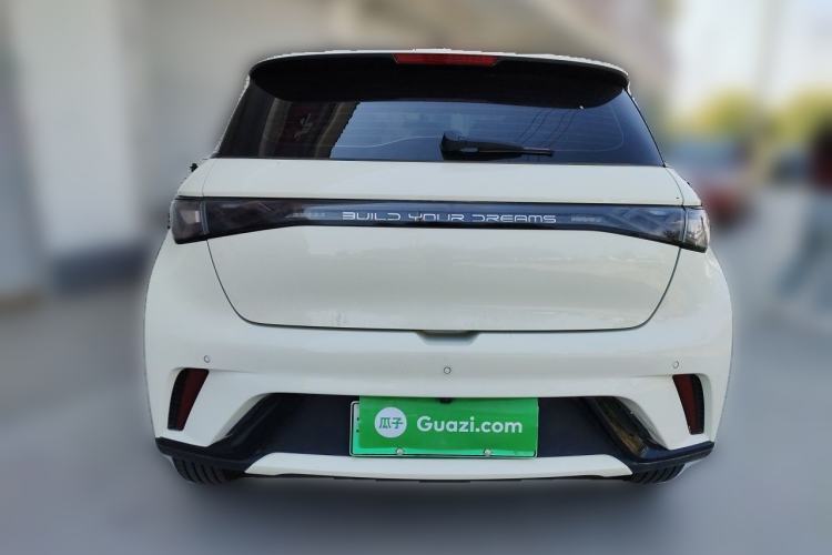 Used BYD Dolphin 2024 Honor Edition 420km Freedom Version Rear