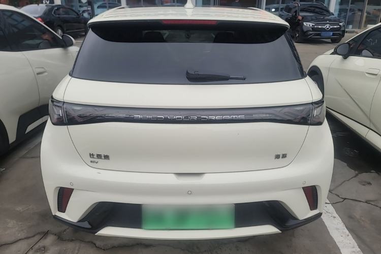 Used BYD Dolphin 2024 Honor Edition 420km Fashion Version Rear