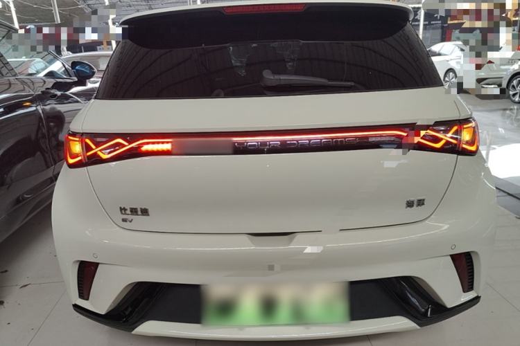 Used BYD Dolphin 2024 Honor Edition 420km Fashion Version Rear