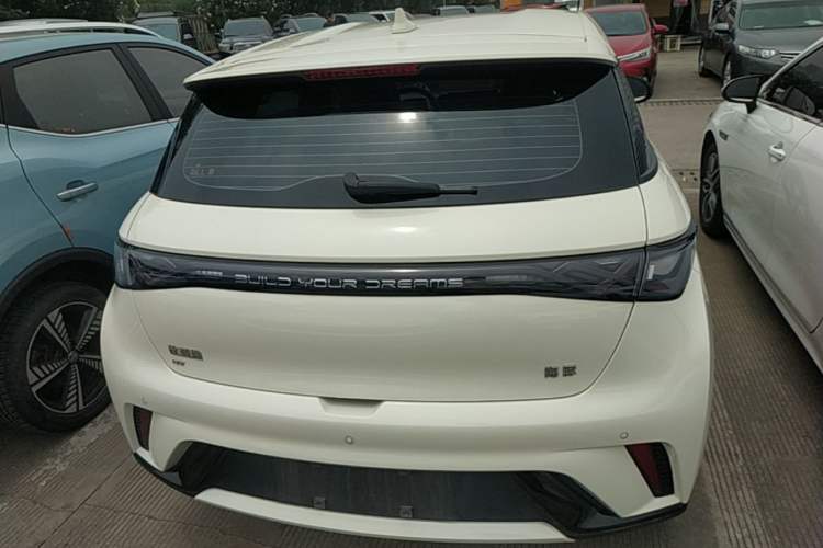 Used BYD Dolphin 2024 Honor Edition 420km Freedom Version Rear
