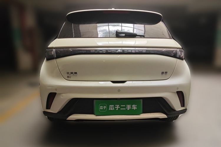 Used BYD Dolphin 2024 Honor Edition 420km Fashion Version Rear