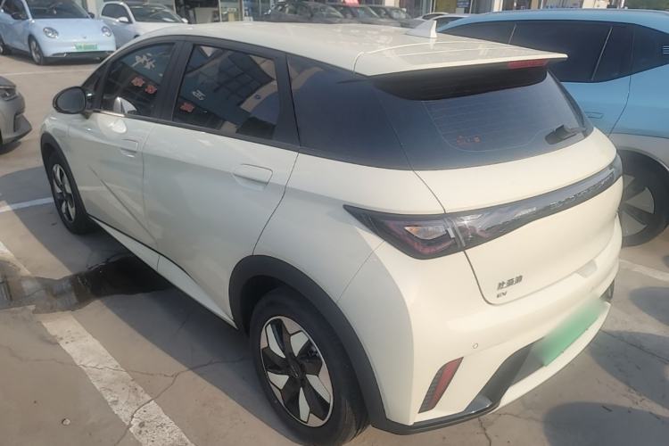 Used BYD Dolphin 2024 Honor Edition 420km Freedom Version Rear Left 45 Deg