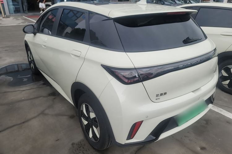 Used BYD Dolphin 2024 Honor Edition 420km Fashion Version Rear Left 45 Deg