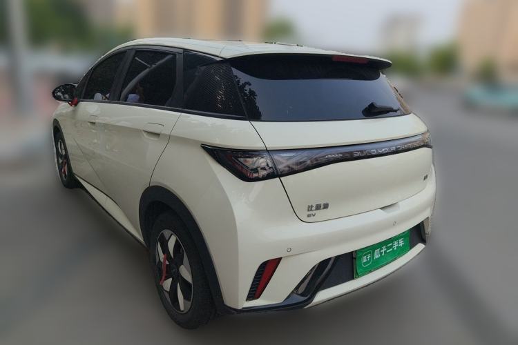 Used BYD Dolphin 2024 Honor Edition 420km Fashion Version Rear Left 45 Deg