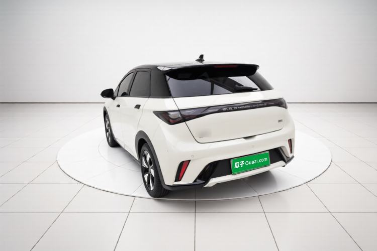 Used BYD Dolphin 2024 Honor Edition 420km Fashion Version Rear Left 45 Deg