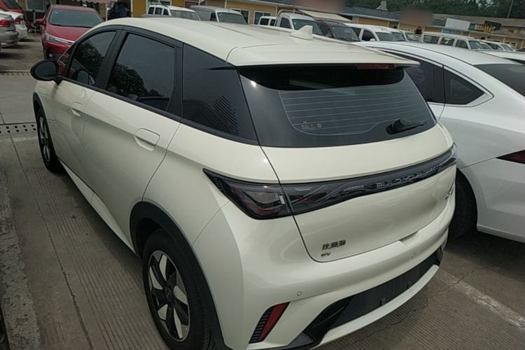 Used BYD Dolphin 2024 Honor Edition 420km Freedom Version Rear Left 45 Deg