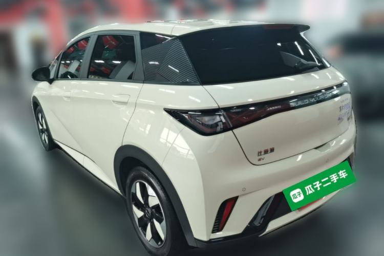Used BYD Dolphin 2024 Honor Edition 420km Fashion Version Rear Left 45 Deg