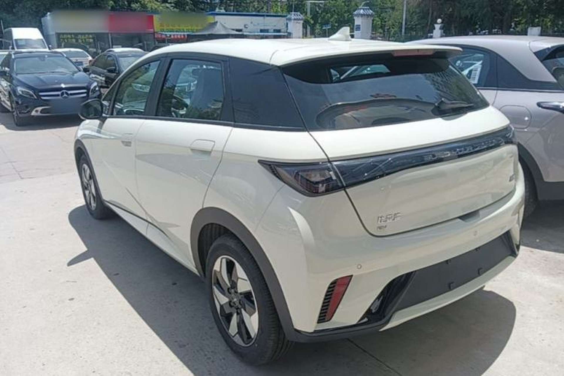 Used BYD Dolphin 2024 Honor Edition 420km Freedom Version Rear Left 45 Deg