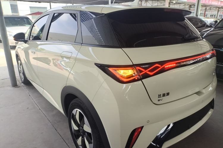 Used BYD Dolphin 2024 Honor Edition 420km Fashion Version Rear Left 45 Deg