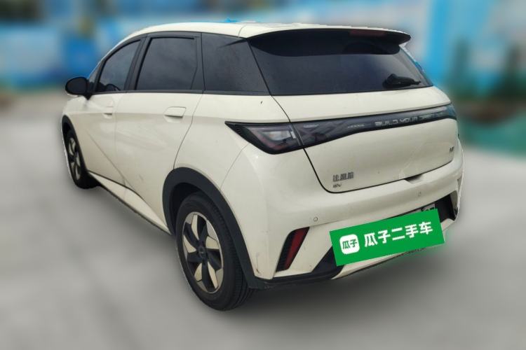 Used BYD Dolphin 2024 Honor Edition 420km Fashion Version Rear Left 45 Deg