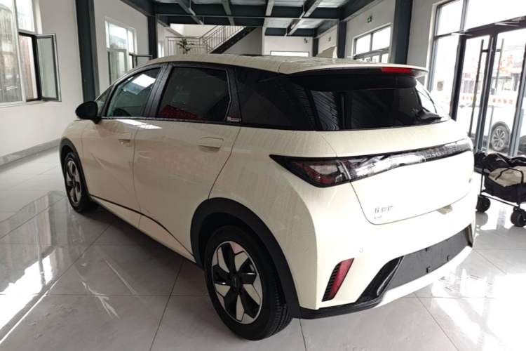 Used BYD Dolphin 2024 Honor Edition 420km Fashion Version Rear Left 45 Deg