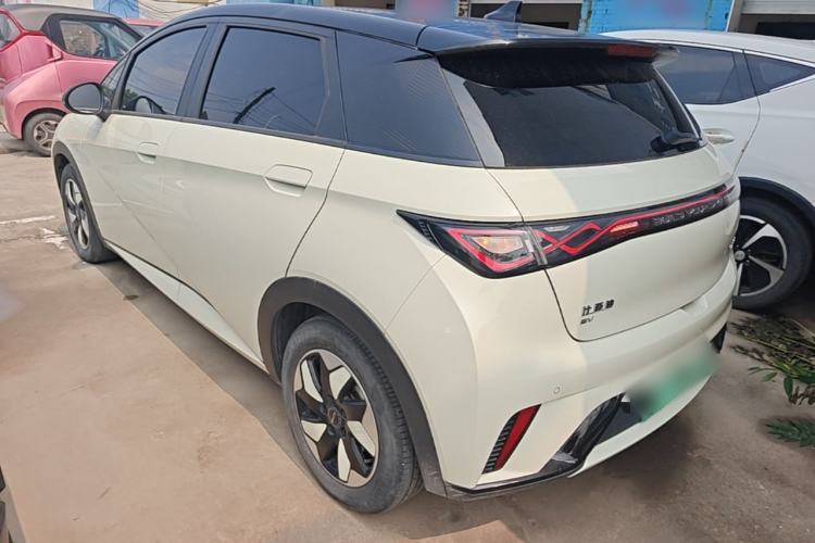 Used BYD Dolphin 2024 Honor Edition 420km Fashion Version Rear Left 45 Deg