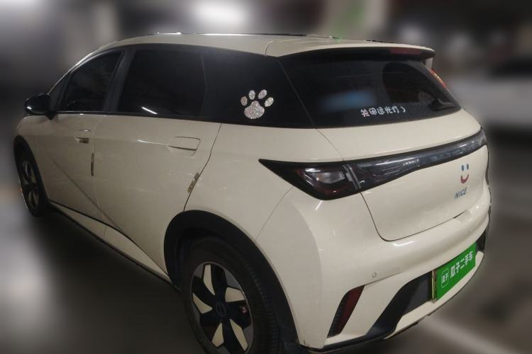 Used BYD Dolphin 2024 Honor Edition 420km Fashion Version Rear Left 45 Deg