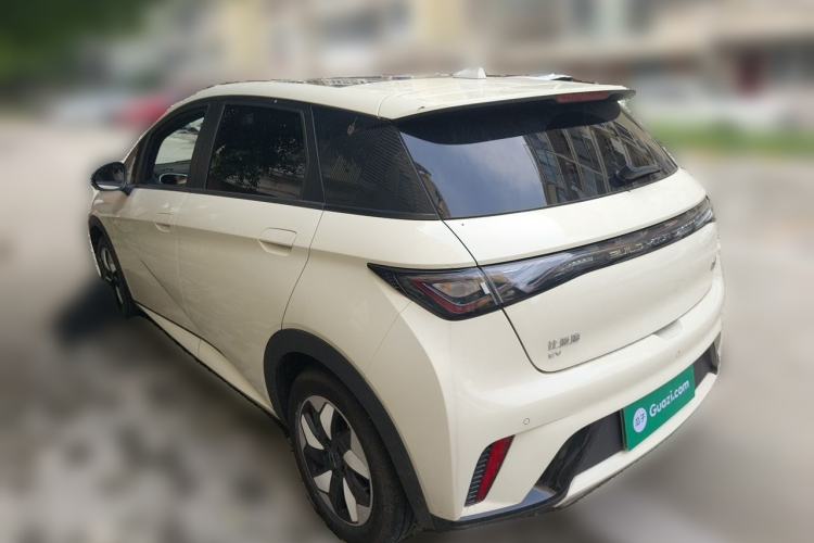 Used BYD Dolphin 2024 Honor Edition 420km Fashion Version Rear Left 45 Deg