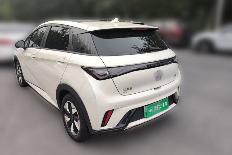 Used BYD Dolphin 2024 Honor Edition 420km Fashion Version Rear Left 45 Deg