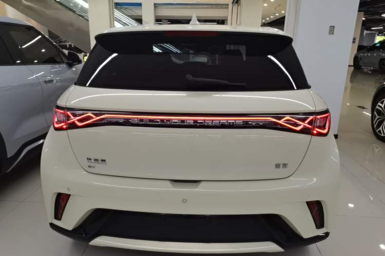 Used BYD Dolphin 2024 Honor Edition 420km Freedom Version Rear