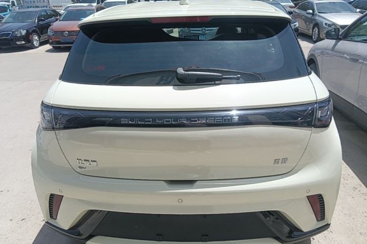 Used BYD Dolphin 2024 Honor Edition 420km Freedom Version Rear