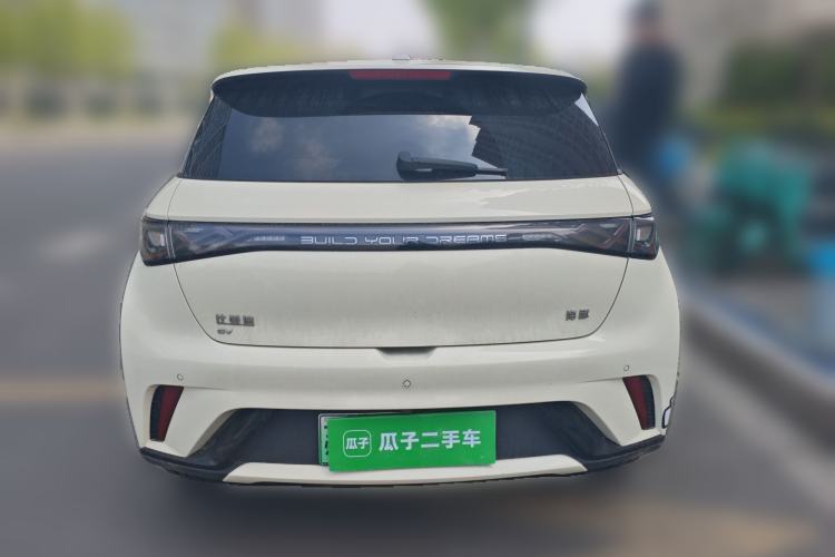 Used BYD Dolphin 2024 Honor Edition 420km Fashion Version Rear