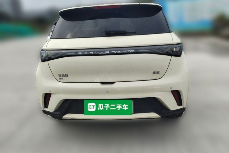 Used BYD Dolphin 2024 Honor Edition 420km Fashion Version Rear