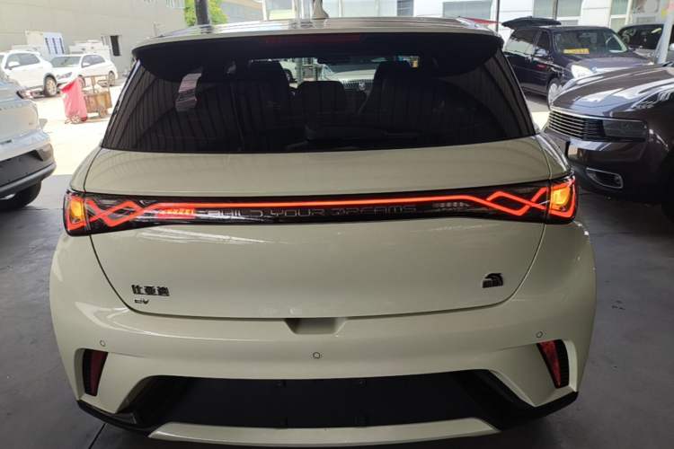 Used BYD Dolphin 2024 Honor Edition 420km Fashion Version Rear