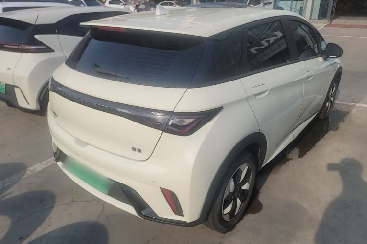 Used BYD Dolphin 2024 Honor Edition 420km Freedom Version Rear Right 45 Deg