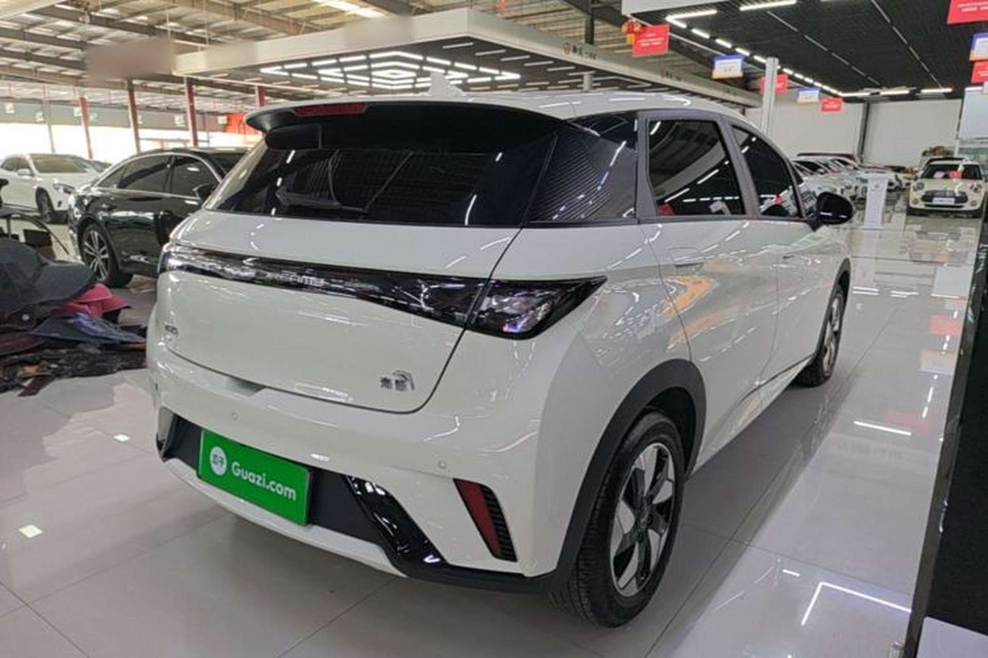 Used BYD Dolphin 2024 Honor Edition 420km Freedom Version Rear Right 45 Deg