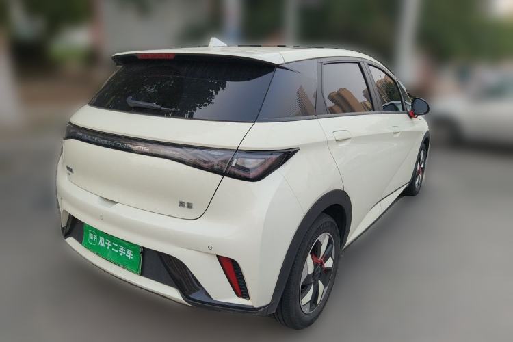 Used BYD Dolphin 2024 Honor Edition 420km Fashion Version Rear Right 45 Deg