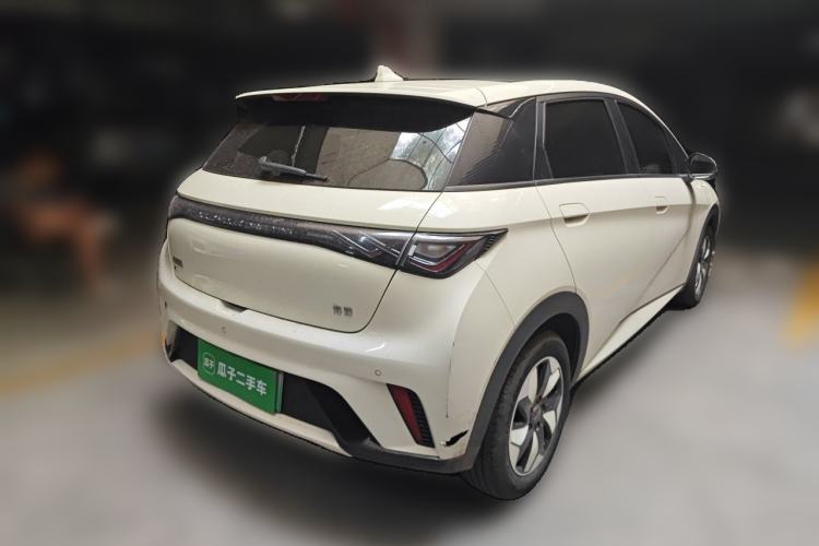 Used BYD Dolphin 2024 Honor Edition 420km Fashion Version Rear Right 45 Deg