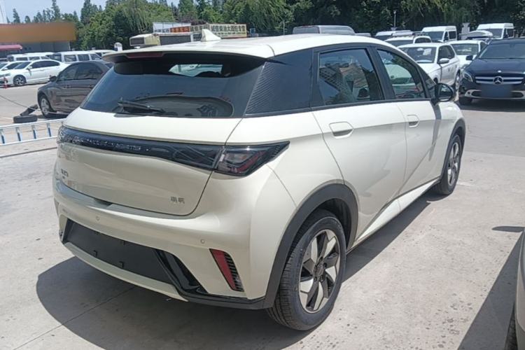 Used BYD Dolphin 2024 Honor Edition 420km Freedom Version Rear Right 45 Deg