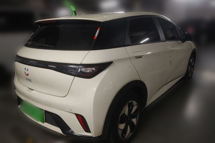 Used BYD Dolphin 2024 Honor Edition 420km Fashion Version Rear Right 45 Deg