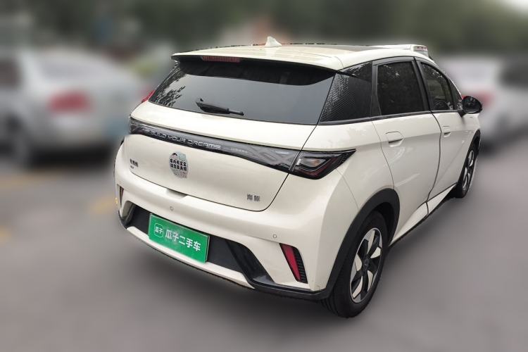Used BYD Dolphin 2024 Honor Edition 420km Fashion Version Rear Right 45 Deg