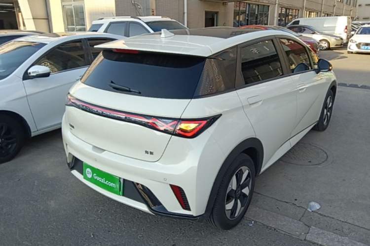 Used BYD Dolphin 2024 Honor Edition 420km Fashion Version Rear Right 45 Deg