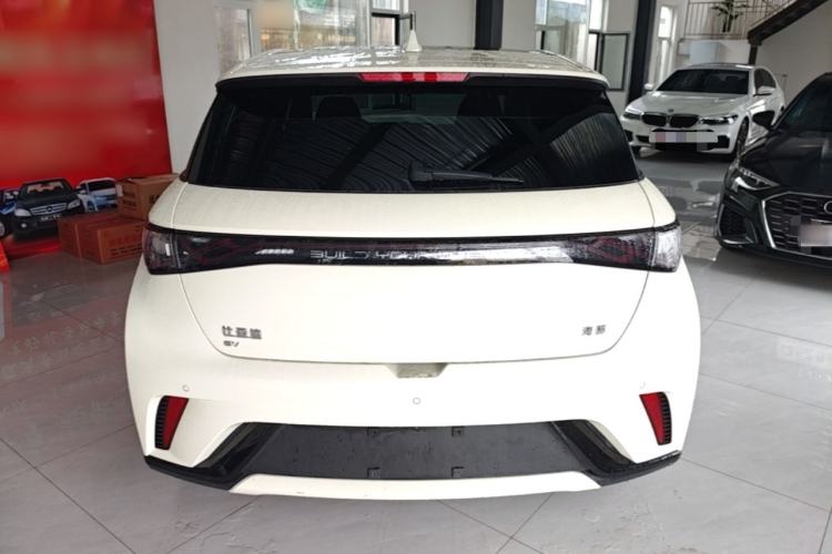 Used BYD Dolphin 2024 Honor Edition 420km Fashion Version Rear