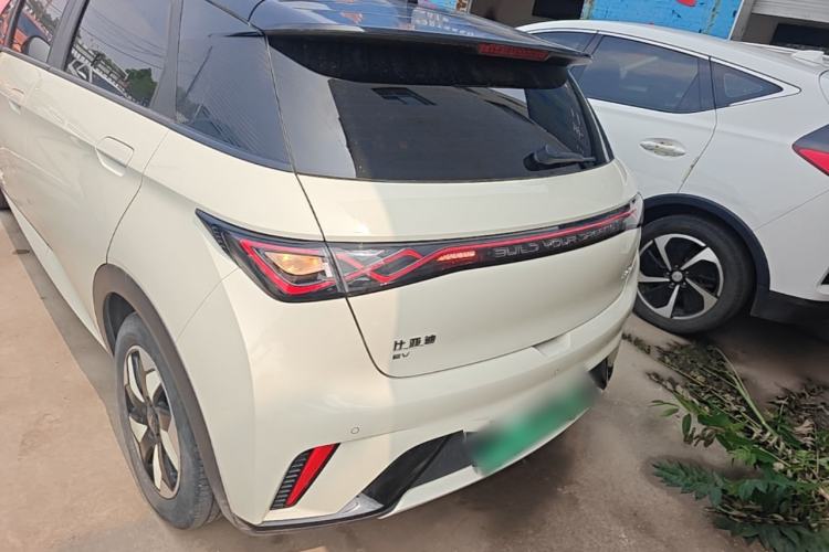 Used BYD Dolphin 2024 Honor Edition 420km Fashion Version Rear