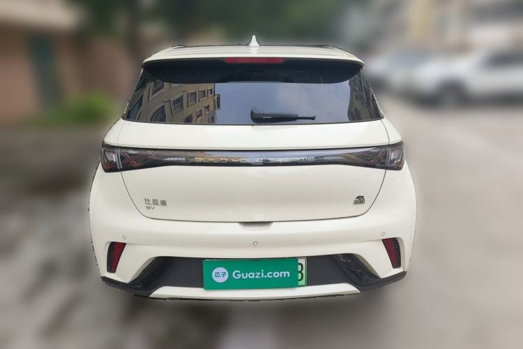 Used BYD Dolphin 2024 Honor Edition 420km Fashion Version Rear