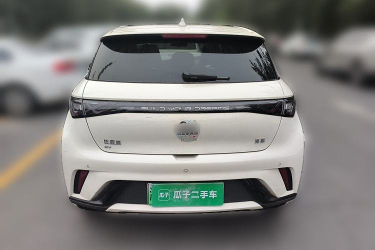 Used BYD Dolphin 2024 Honor Edition 420km Fashion Version Rear
