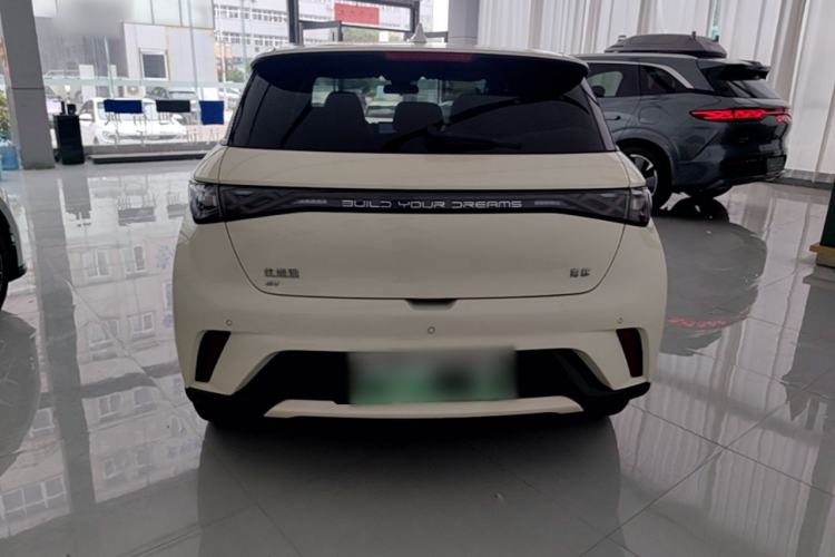 Used BYD Dolphin 2024 Honor Edition 420km Fashion Version Rear