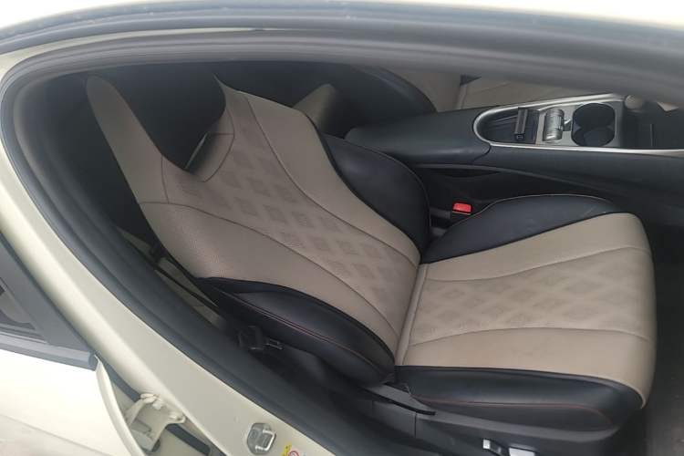 Used BYD Dolphin 2024 Honor Edition 420km Fashion Version Right Front Seat