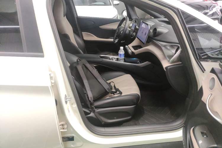 Used BYD Dolphin 2024 Honor Edition 420km Fashion Version Right Front Seat