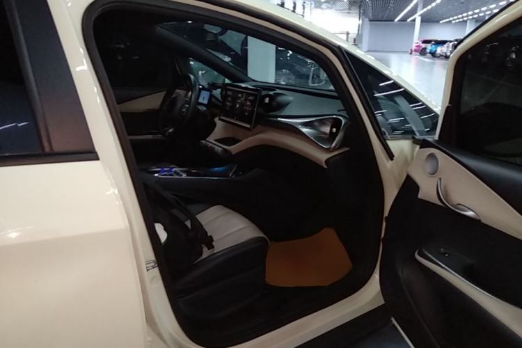 Used BYD Dolphin 2024 Honor Edition 420km Freedom Version Right Front Seat