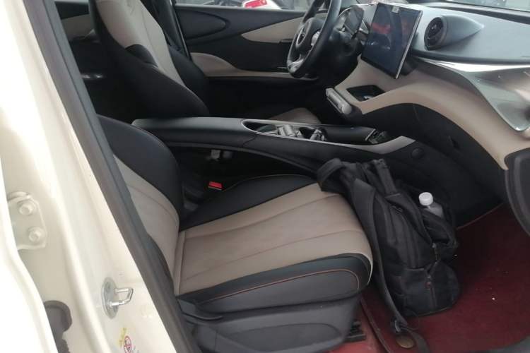 Used BYD Dolphin 2024 Honor Edition 420km Freedom Version Right Front Seat