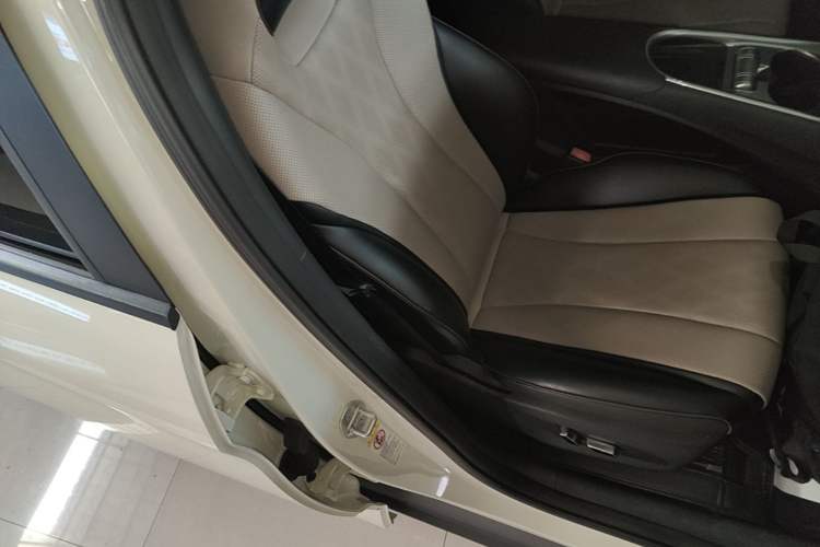 Used BYD Dolphin 2024 Honor Edition 420km Fashion Version Right Front Seat