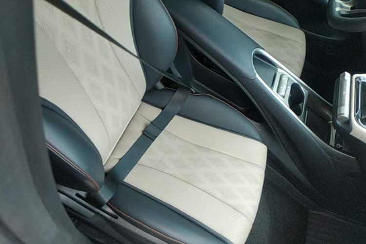 Used BYD Dolphin 2024 Honor Edition 420km Freedom Version Right Front Seat
