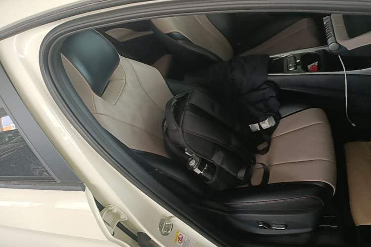 Used BYD Dolphin 2024 Honor Edition 420km Fashion Version Right Front Seat