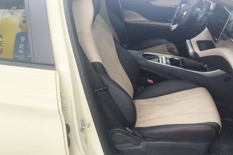 Used BYD Dolphin 2024 Honor Edition 420km Freedom Version Right Front Seat