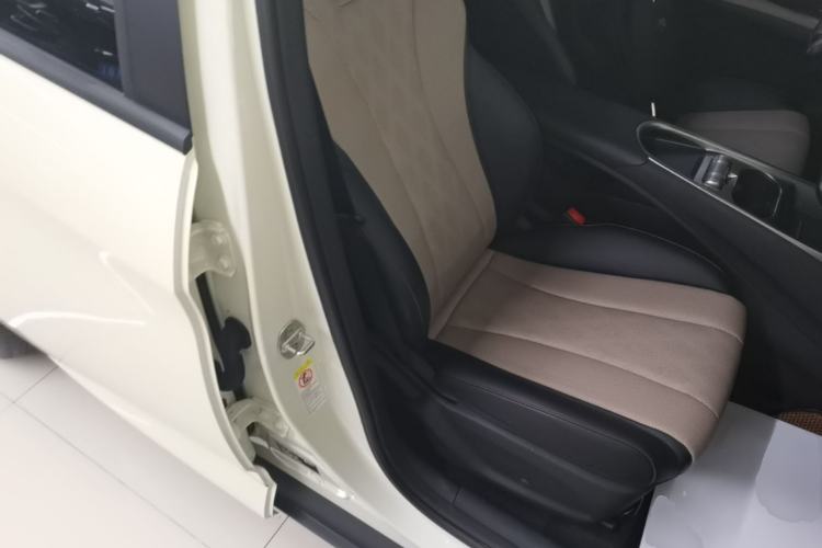 Used BYD Dolphin 2024 Honor Edition 420km Freedom Version Right Front Seat