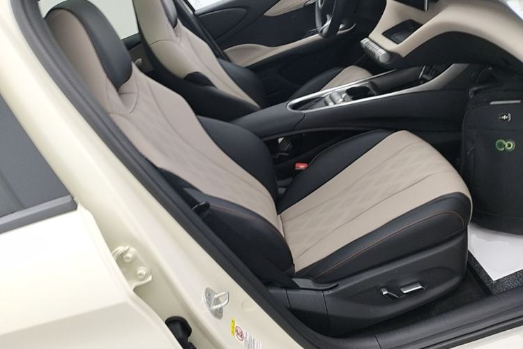 Used BYD Dolphin 2024 Honor Edition 420km Fashion Version Right Front Seat