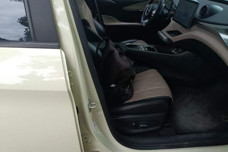 Used BYD Dolphin 2024 Honor Edition 420km Fashion Version Right Front Seat