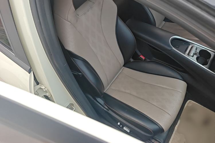 Used BYD Dolphin 2024 Honor Edition 420km Fashion Version Right Front Seat